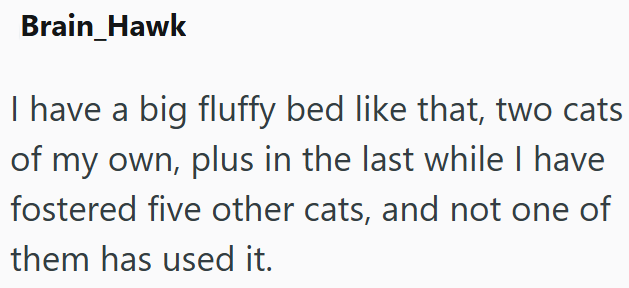 Brain_Hawk I have a big fluffy bed like that, two cats of my own, plus in the last while I have fostered five other cats, and not one of them has used it.