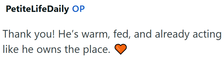 PetiteLifeDaily OP Thank you! He's warm, fed, and already acting like he owns the place.