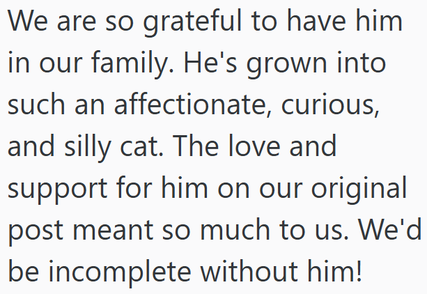 We are so grateful to have him in our family. He's grown into such an affectionate, curious, and silly cat. The love and support for him on our original post meant so much to us. We'd be incomplete without him!
