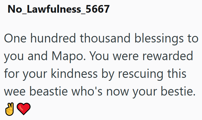 No_Lawfulness_5667 One hundred thousand blessings to you and Mapo. You were rewarded for your kindness by rescuing this wee beastie who's now your bestie.