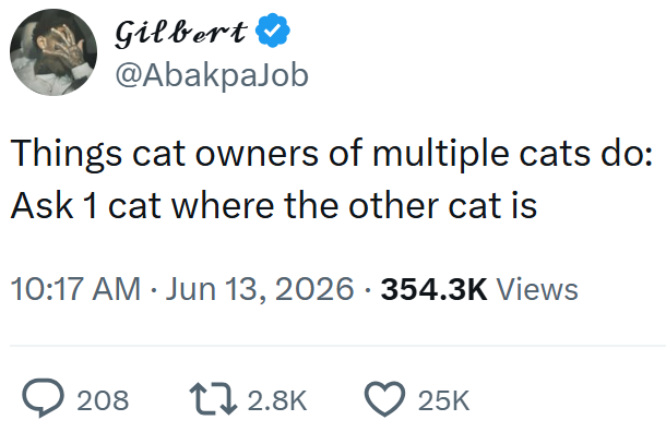 Gilbert ❤ @AbakpaJob Things cat owners of multiple cats do: Ask 1 cat where the other cat is 10:17 AM ⚫ Jun 13, 2026 · 354.3K Views • > 208 12.8K 25K
