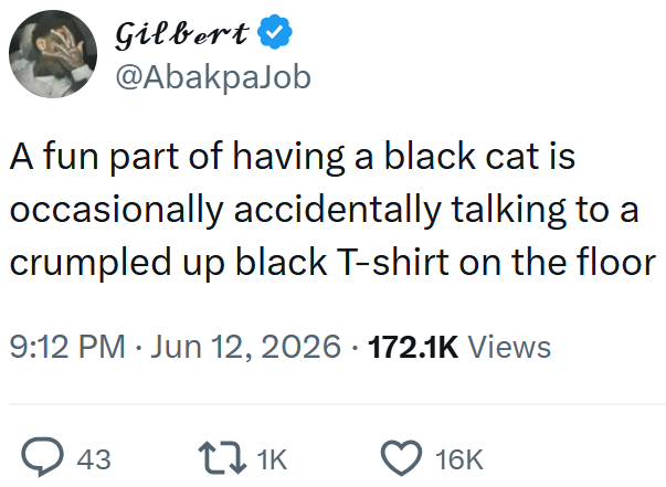 Gilbert ❤ @AbakpaJob A fun part of having a black cat is occasionally accidentally talking to a crumpled up black T-shirt on the floor 9:12 PM Jun 12, 2026 172.1K Views 43 11K 16K