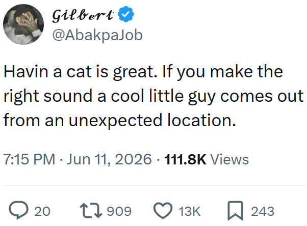 Gilbert @AbakpaJob Havin a cat is great. If you make the right sound a cool little guy comes out from an unexpected location. 7:15 PM - Jun 11, 2026 111.8K Views > 20 17909 13K ☐ 243