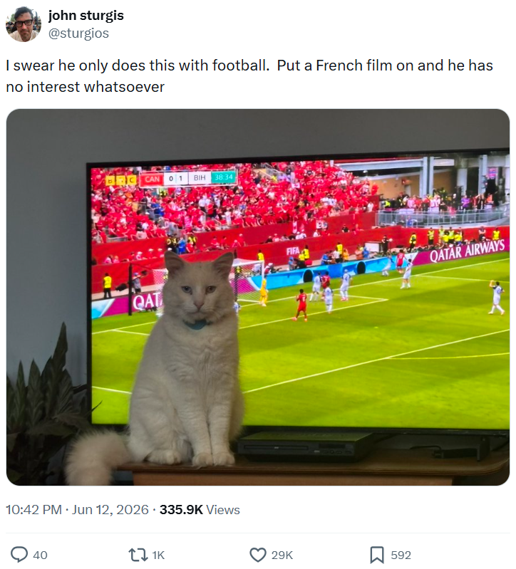 john sturgis @sturgios I swear he only does this with football. Put a French film on and he has no interest whatsoever BRC CAN 01 BIH 38:34 QAT 10:42 PM ⚫ Jun 12, 2026 335.9K Views 40 ↓ 1K FIFA QATAR AIRWAYS 29K 592