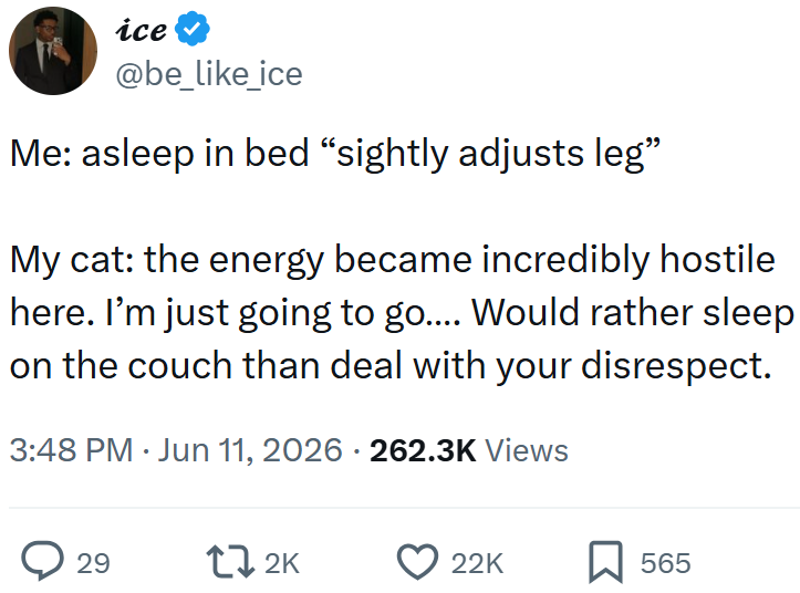 ice @be_like_ice Me: asleep in bed "sightly adjusts leg" My cat: the energy became incredibly hostile here. I'm just going to go.... Would rather sleep on the couch than deal with your disrespect. 3:48 PM ⚫ Jun 11, 2026 · 262.3K Views ○ 29 172K 22K ☐ 565