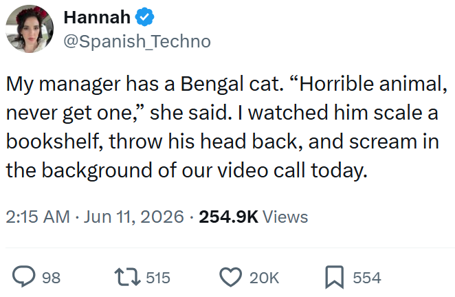 Hannah @Spanish Techno My manager has a Bengal cat. "Horrible animal, never get one," she said. I watched him scale a bookshelf, throw his head back, and scream in the background of our video call today. 2:15 AM ⚫ Jun 11, 2026 - 254.9K Views > 98 1515 20K 554