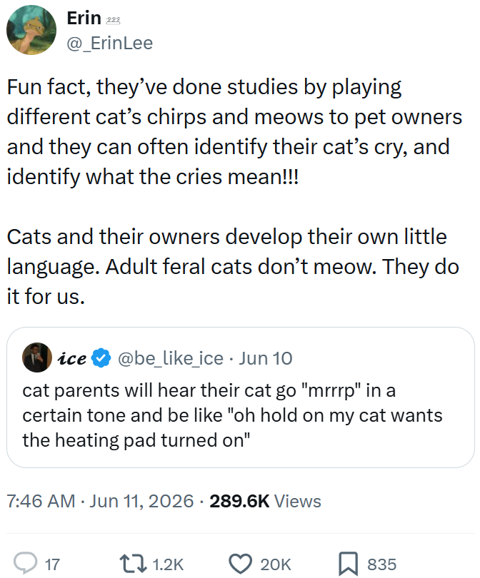 Erin 223 @_Erin Lee Fun fact, they've done studies by playing different cat's chirps and meows to pet owners and they can often identify their cat's cry, and identify what the cries mean!!! Cats and their owners develop their own little language. Adult feral cats don't meow. They do it for us. ice @be_like_ice Jun 10 cat parents will hear their cat go "mrrrp" in a certain tone and be like "oh hold on my cat wants the heating pad turned on" 7:46 AM ⚫ Jun 11, 2026 - 289.6K Views 17 1.2K 20K ☐ 835