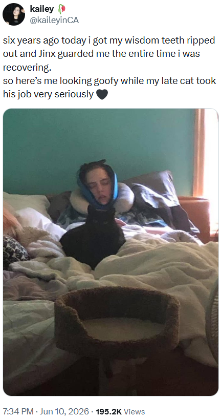 kailey @kaileyinCA six years ago today i got my wisdom teeth ripped out and Jinx guarded me the entire time i was recovering. so here's me looking goofy while my late cat took his job very seriously 7:34 PM - Jun 10, 2026 195.2K Views