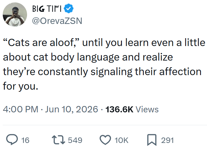 BIG TIMI @OrevaZSN "Cats are aloof," until you learn even a little about cat body language and realize they're constantly signaling their affection for you. 4:00 PM - Jun 10, 2026 136.6K Views > 16 17549 10K ☐ 291