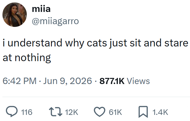 miia @miiagarro i understand why cats just sit and stare at nothing 6:42 PM ⚫ Jun 9, 2026 877.1K Views 116 12K 61K ☐ 1.4K
