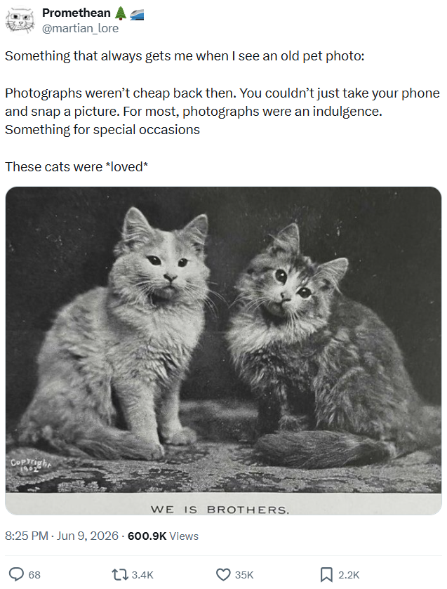 Promethean @martian_lore Something that always gets me when I see an old pet photo: Photographs weren't cheap back then. You couldn't just take your phone and snap a picture. For most, photographs were an indulgence. Something for special occasions These cats were *loved* Copyright WE IS BROTHERS. 8:25 PM - Jun 9, 2026 - 600.9K Views 68 3.4K 35K ☐ 2.2K