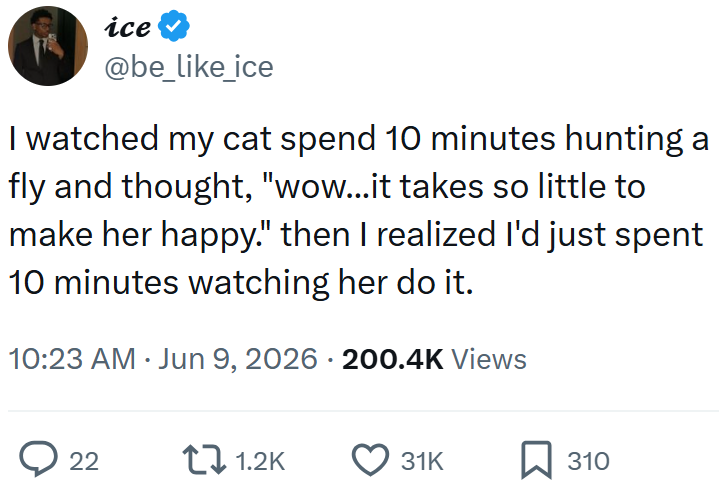 ice @be_like_ice I watched my cat spend 10 minutes hunting a fly and thought, "wow...it takes so little to make her happy." then I realized I'd just spent 10 minutes watching her do it. 10:23 AM ⚫ Jun 9, 2026 - 200.4K Views ○ 22 1.2K 31K 310