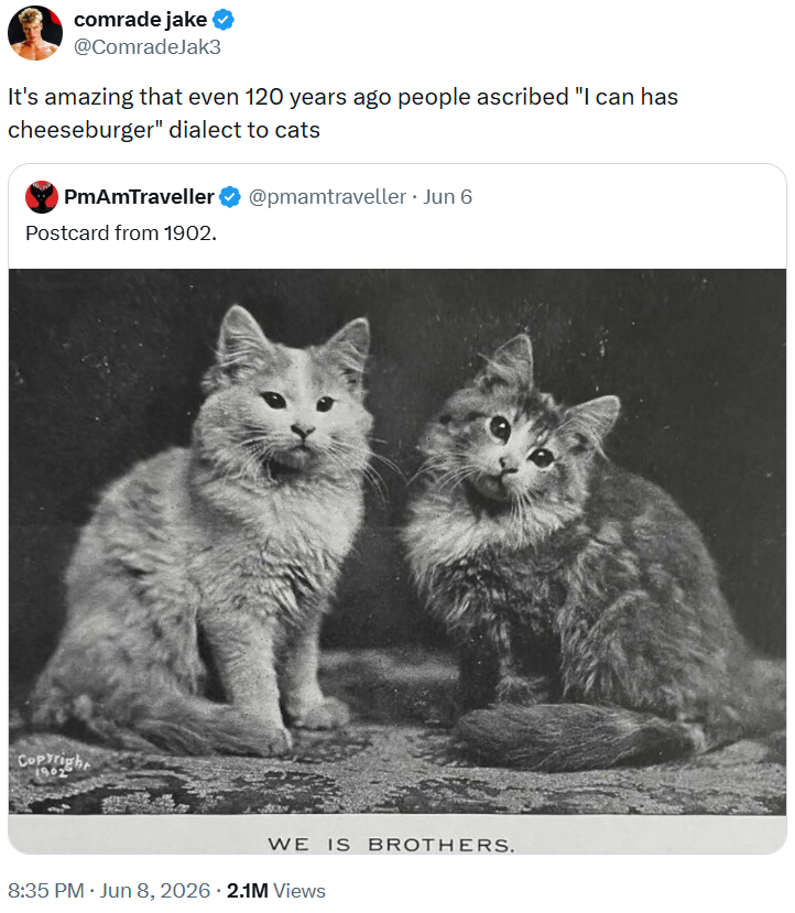 comrade jake ♥ @ComradeJak3 It's amazing that even 120 years ago people ascribed "I can has cheeseburger" dialect to cats PmAmTraveller Postcard from 1902. @pmamtraveller ⚫ Jun 6 • Copyright WE IS BROTHERS. 8:35 PM ⚫ Jun 8, 2026 - 2.1M Views