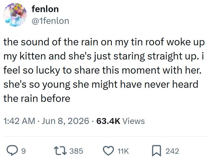 fenlon @1fenlon the sound of the rain on my tin roof woke up my kitten and she's just staring straight up. i feel so lucky to share this moment with her. she's so young she might have never heard the rain before 1:42 AM Jun 8, 2026 63.4K Views 9 17385 11K 242
