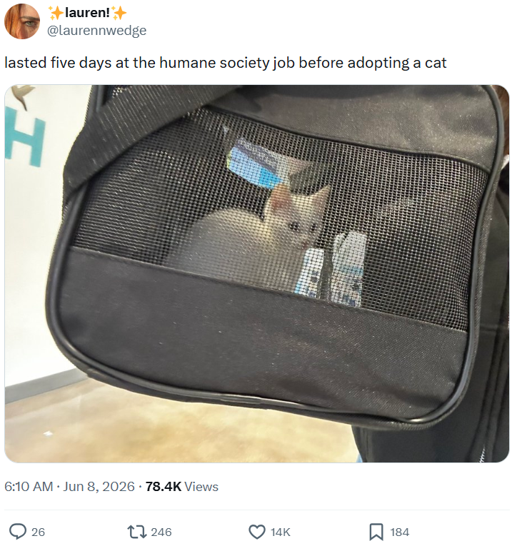 +lauren! @laurennwedge lasted five days at the humane society job before adopting a cat H 6:10 AM ⚫ Jun 8, 2026 - 78.4K Views 26 246 14K 184