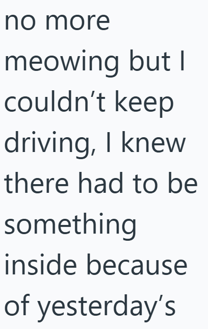 no more meowing but I couldn't keep driving, I knew there had to be something inside because of yesterday's