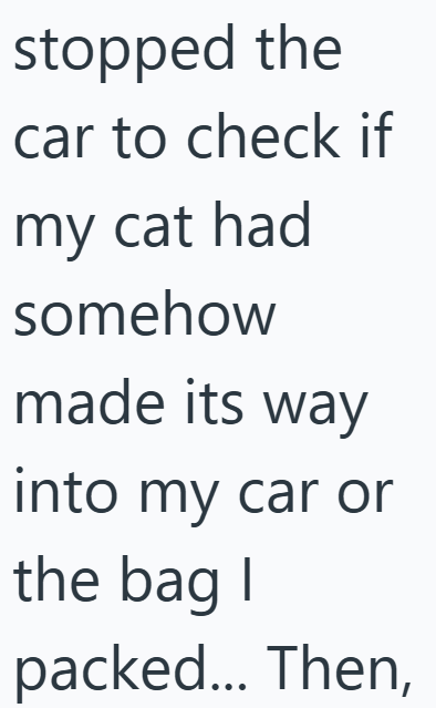 stopped the car to check if my cat had somehow made its way into my car or the bag I packed... Then,