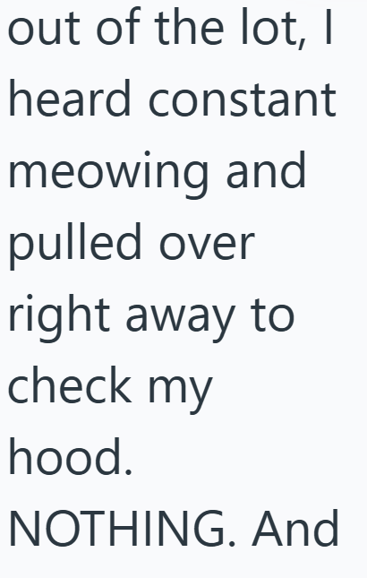 out of the lot, I heard constant meowing and pulled over right away to check my hood. NOTHING. And