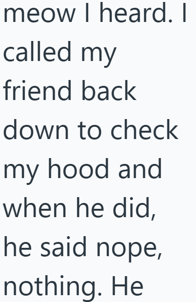 meow I heard. I called my friend back down to check my hood and when he did, he said nope, nothing. He