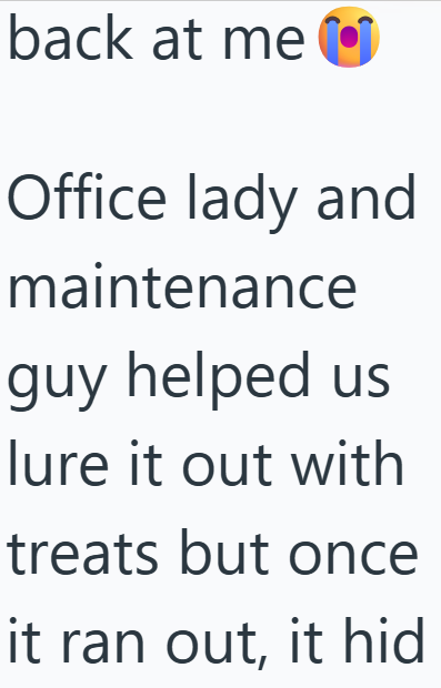 back at me Office lady and maintenance guy helped us lure it out with treats but once it ran out, it hid