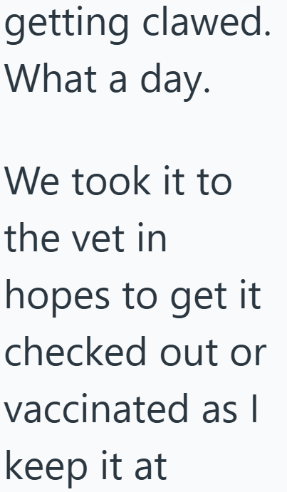 getting clawed. What a day. We took it to the vet in hopes to get it checked out or vaccinated as I keep it at