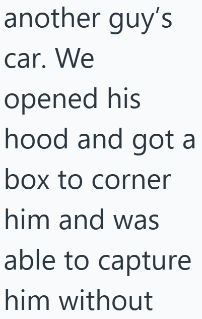 another guy's car. We opened his hood and got a box to corner him and was able to capture him without