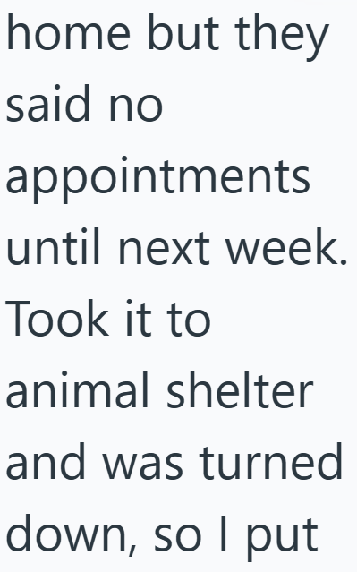 home but they said no appointments until next week. Took it to animal shelter and was turned down, so I put