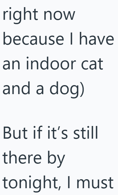 right now because I have an indoor cat and a dog) But if it's still there by tonight, I must