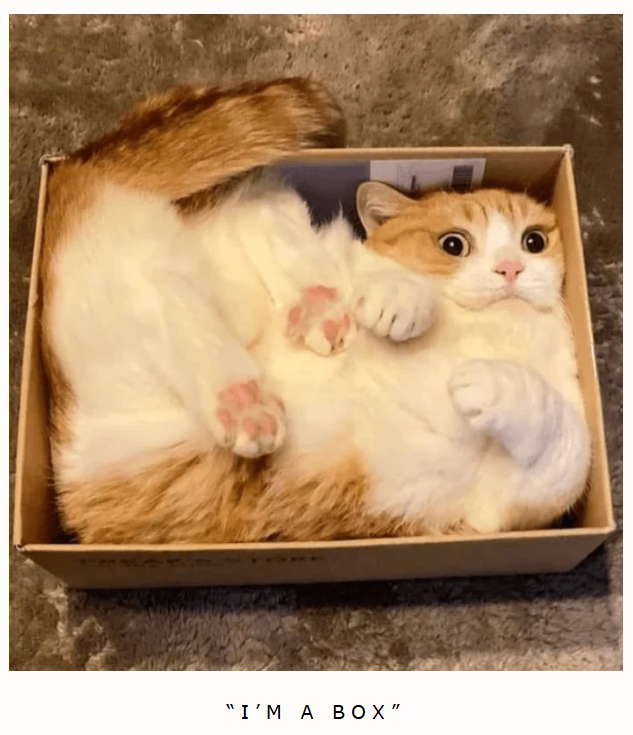 "I'M A BOX"