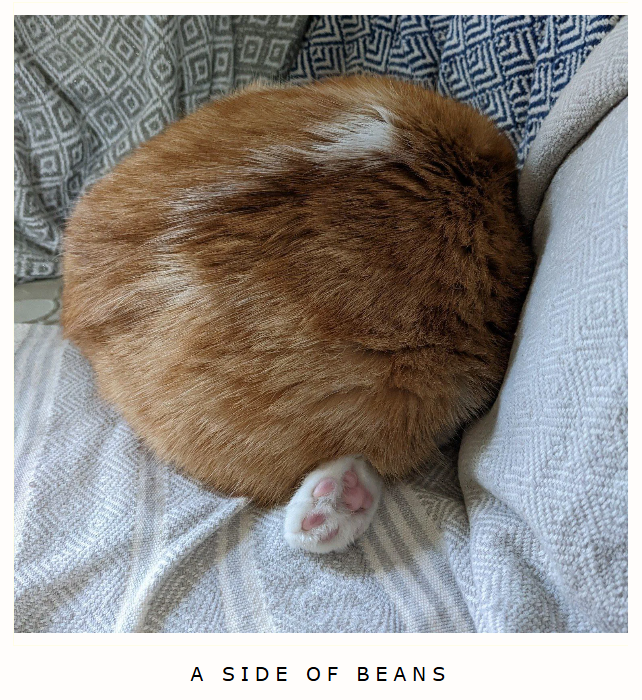 A SIDE OF BEANS