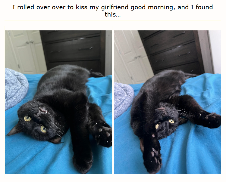 I rolled over over to kiss my girlfriend good morning, and I found this...