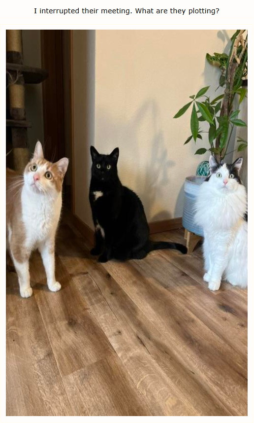 I interrupted their meeting. What are they plotting?