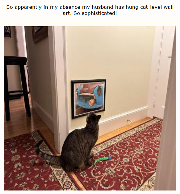 So apparently in my absence my husband has hung cat-level wall art. So sophisticated!