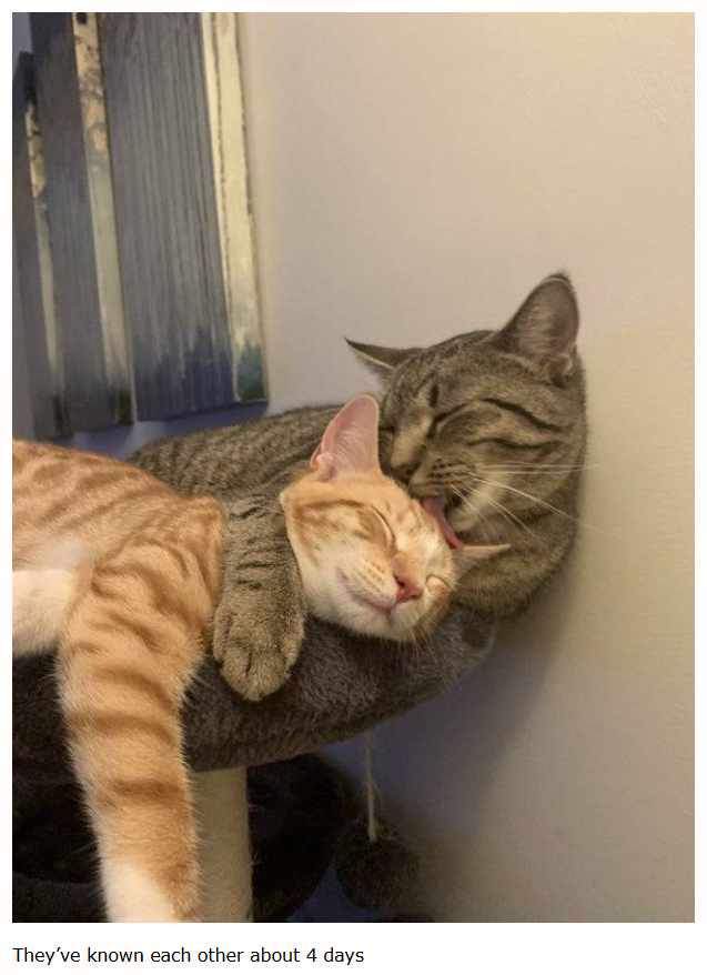 They've known each other about 4 days