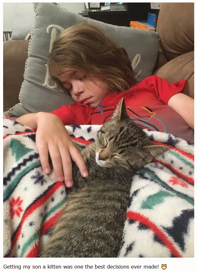 Getting my son a kitten was one the best decisions ever made!