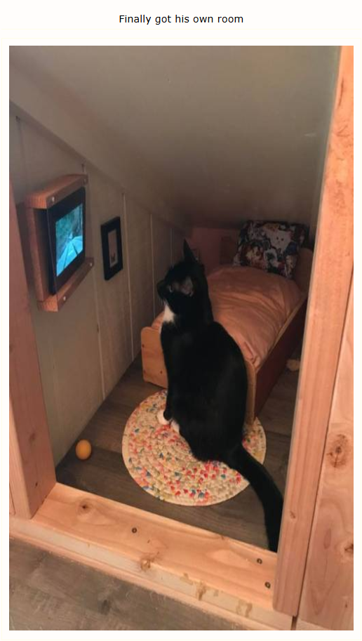 Finally got his own room