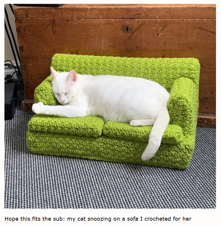 Hope this fits the sub: my cat snoozing on a sofa I crocheted for her