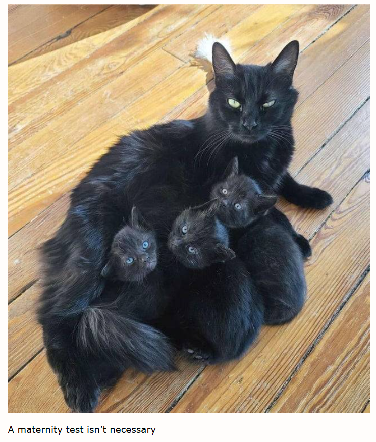 A maternity test isn't necessary