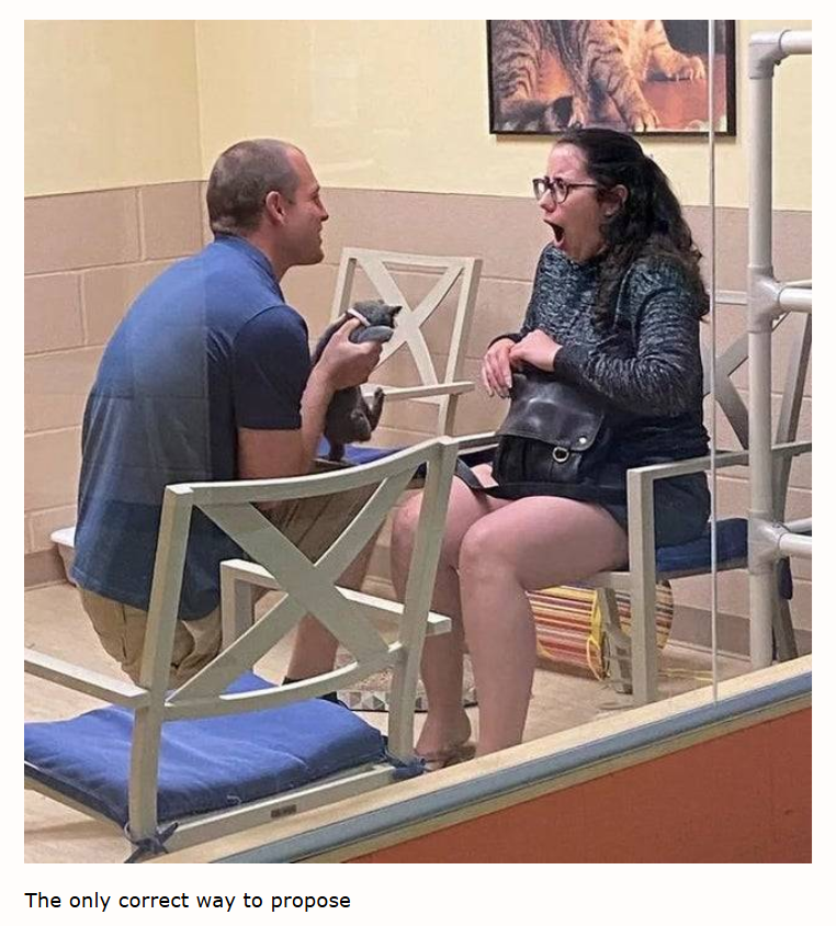 The only correct way to propose