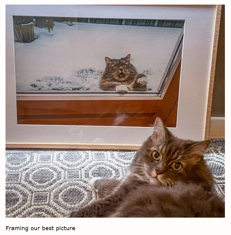 Framing our best picture