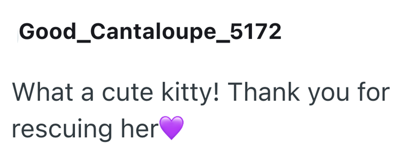 Good_Cantaloupe_5172 What a cute kitty! Thank you for rescuing her