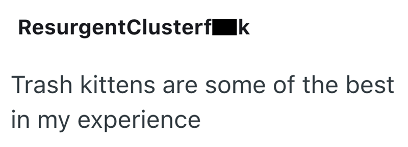 ResurgentClusterf k Trash kittens are some of the best in my experience