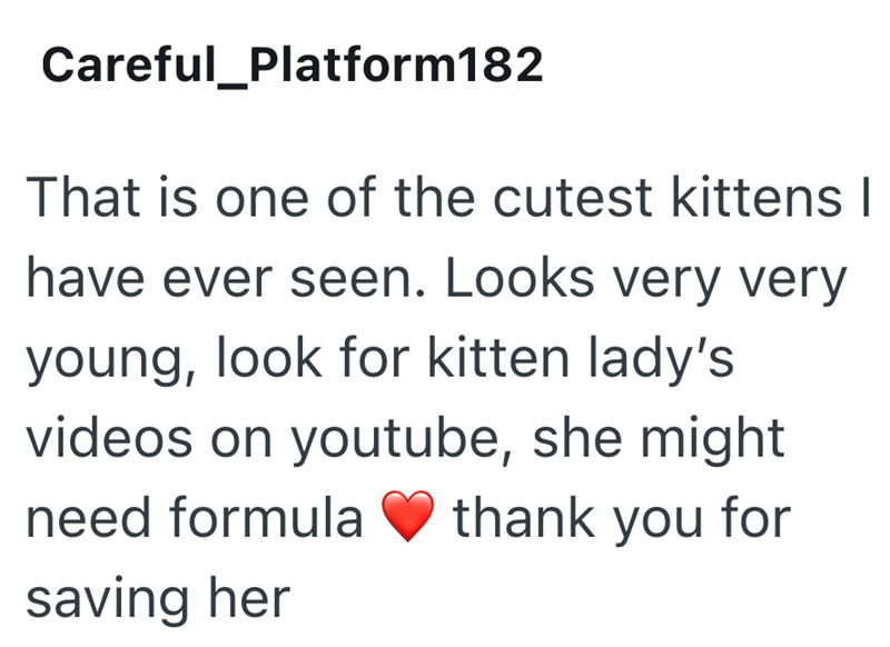 Careful_Platform182 That is one of the cutest kittens I have ever seen. Looks very very young, look for kitten lady's videos on youtube, she might need formula saving her thank you for