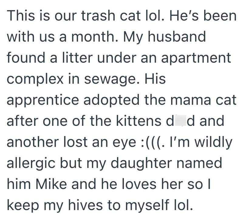 This is our trash cat lol. He's been with us a month. My husband found a litter under an apartment complex in sewage. His apprentice adopted the mama cat after one of the kittens d d and another lost an eye :(((. I'm wildly allergic but my daughter named him Mike and he loves her so I keep my hives to myself lol.