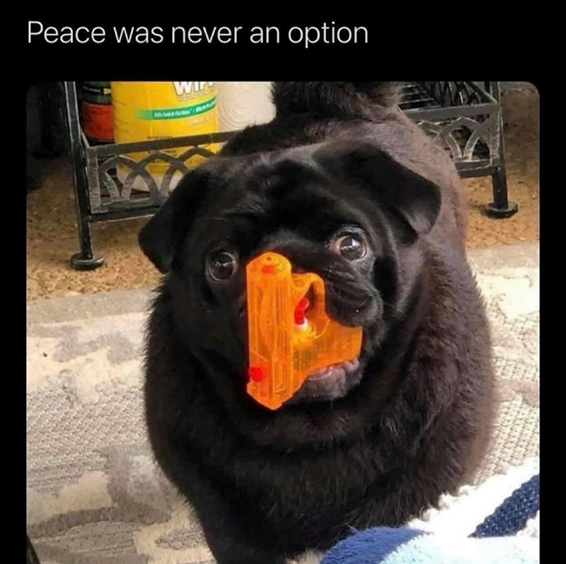 Peace was never an option. ww