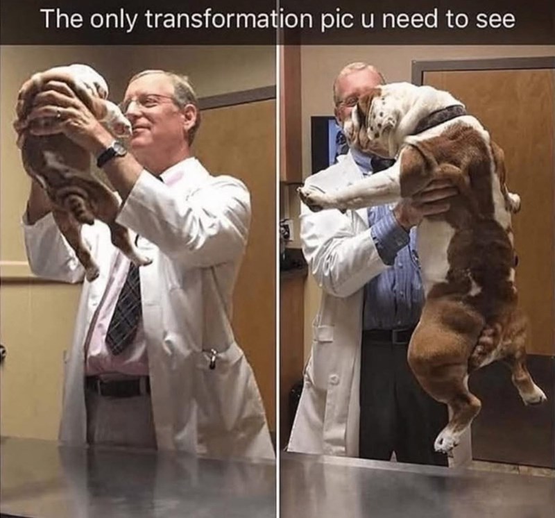 The only transformation pic u need to see