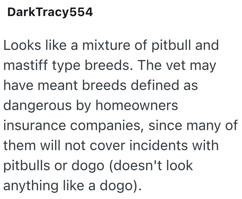 DarkTracy554 Looks like a mixture of pitbull and mastiff type breeds. The vet may have meant breeds defined as dangerous by homeowners. insurance companies, since many of them will not cover incidents with pitbulls or dogo (doesn't look anything like a dogo).