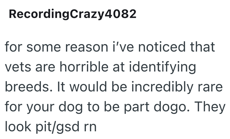 RecordingCrazy4082 for some reason i've noticed that vets are horrible at identifying breeds. It would be incredibly rare for your dog to be part dogo. They look pit/gsd rn