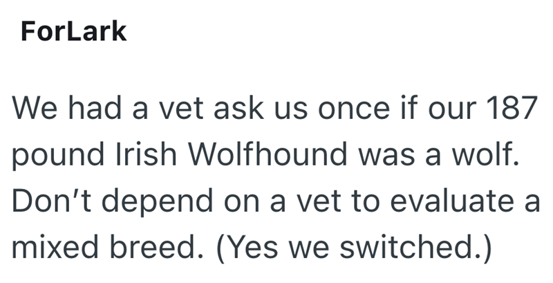 ForLark We had a vet ask us once if our 187 pound Irish Wolfhound was a wolf. Don't depend on a vet to evaluate a mixed breed. (Yes we switched.)