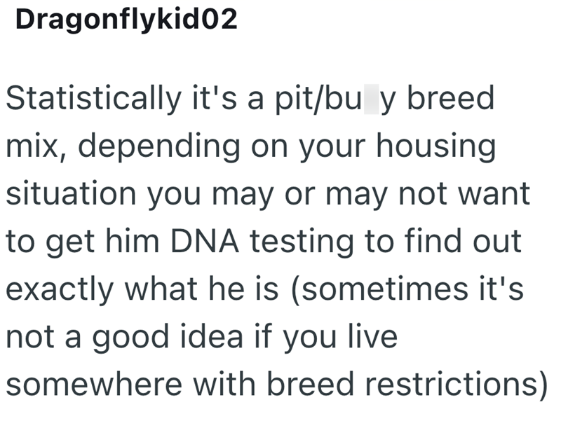 Dragonflykid02 Statistically it's a pit/bu y breed mix, depending on your housing situation you may or may not want to get him DNA testing to find out exactly what he is (sometimes it's not a good idea if you live somewhere with breed restrictions)